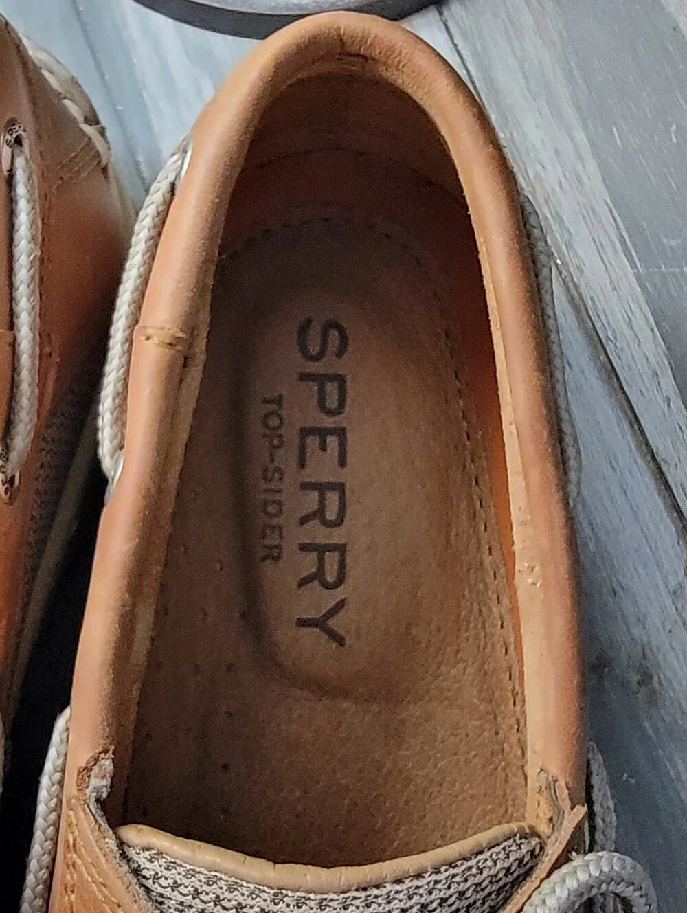 Sperry mens classic
